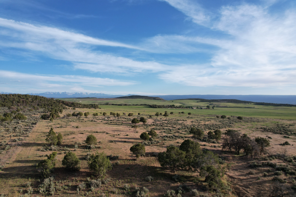 Windy Hills Ranch