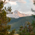 Ridgway Valley Ranch