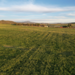 Windy Hills Ranch