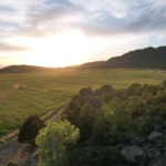 Windy Hills Ranch