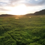 Windy Hills Ranch