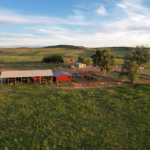 Windy Hills Ranch