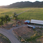 Windy Hills Ranch