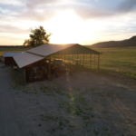 Windy Hills Ranch