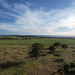 Windy Hills Ranch