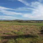 Windy Hills Ranch