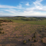 Windy Hills Ranch